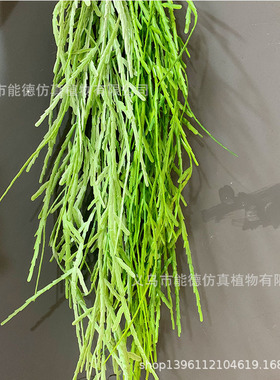 精品蟹爪兰藤条植物墙配材圣诞仙人掌仿真蟹爪莲橱窗装饰吊藤壁挂