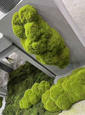 仿真青苔藓草皮仿真草坪植物景观绿色植物场景橱窗展示盆景假苔藓