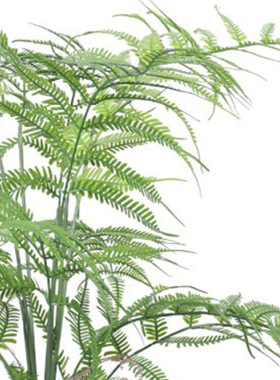 北欧风仿真绿植蕨叶盆景摆件室内客厅落地装饰蕨类假植物盆栽造景