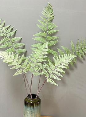 精品3叉蕨叶鳞毛蕨植物墙配材仿真大山蕨凤尾蕨插花装饰植毛叶子
