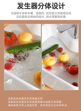 多功能双头臭氧洗菜机果蔬消毒机