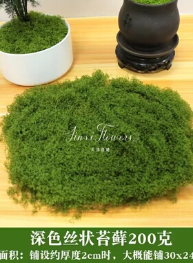 仿真苔藓造景人造草坪铺面