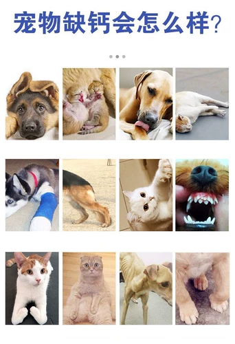 ПЭТ -жидкость кальция собака собака собака линия кальций кальций кальций кальций кальций кальций таблетки добавки следовой элемент взрослые собаки и собаки