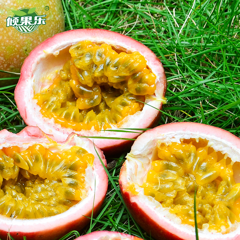 广西百香果一级大果紫皮白香果图片_1