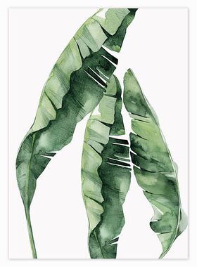 填色解压数字油画材料龟背竹植物
