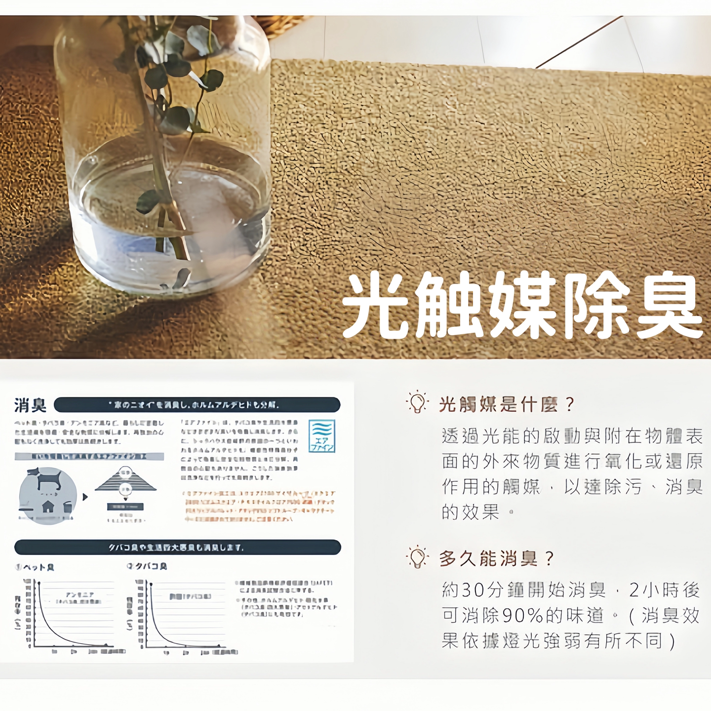 toli东理宠物拼接地毯地垫保护关节无胶防滑垫无毒养猫狗专用AK35
