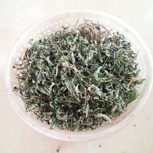 黄花稔 拔毒散硬枝梅肉草 生肌草拔脓草小号虱母头干货 500g包邮 - 图3