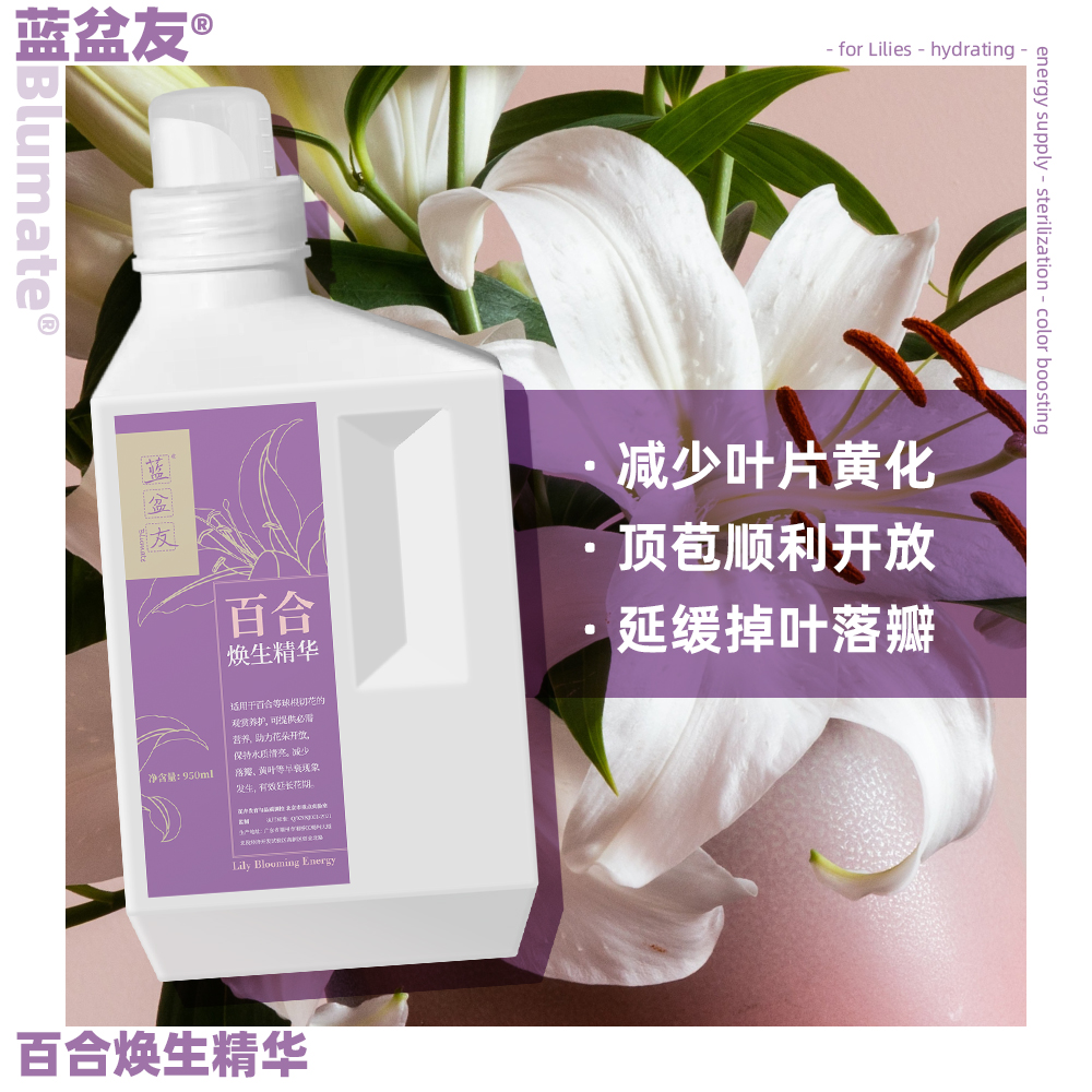 蓝盆友鲜花保鲜超值装玫瑰百合康乃馨草花花束补水醒花修复营养剂,淘宝优惠券,粉丝福利购,淘宝优惠卷