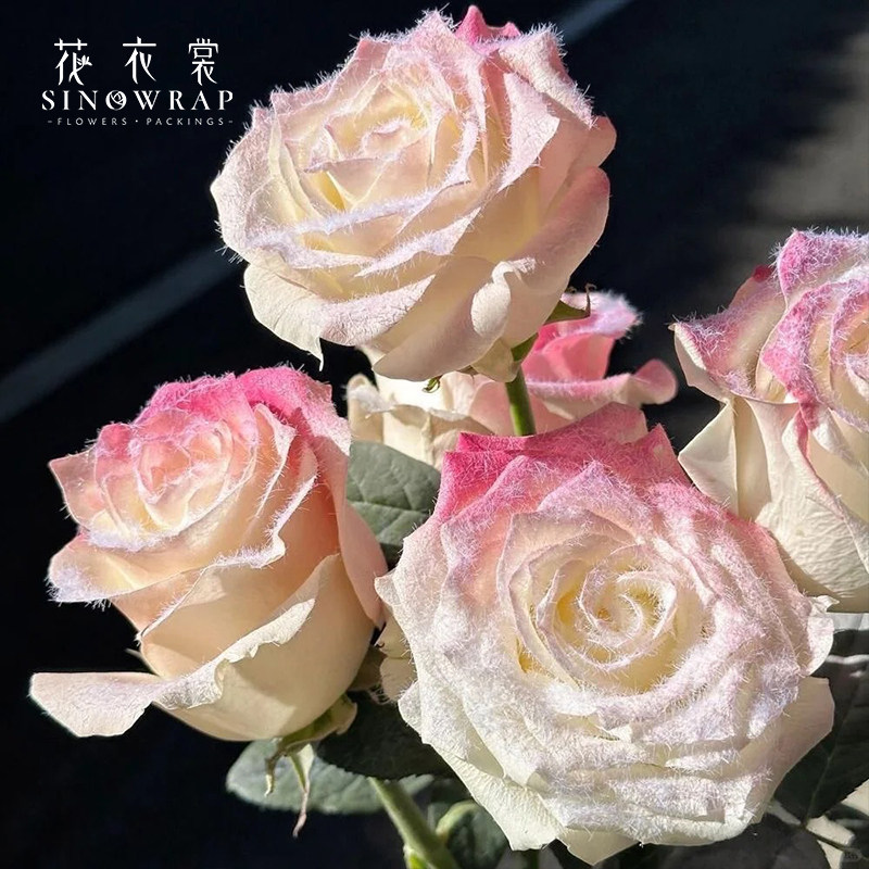 花衣裳 圣诞节玫瑰植绒粉毛绒粉雪粉鲜花束装饰diy材料花艺资材,淘宝优惠券,粉丝福利购,淘宝优惠卷