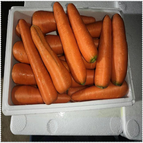 有机胡萝卜 红萝卜B品 有机 基地种植5斤 - 图2