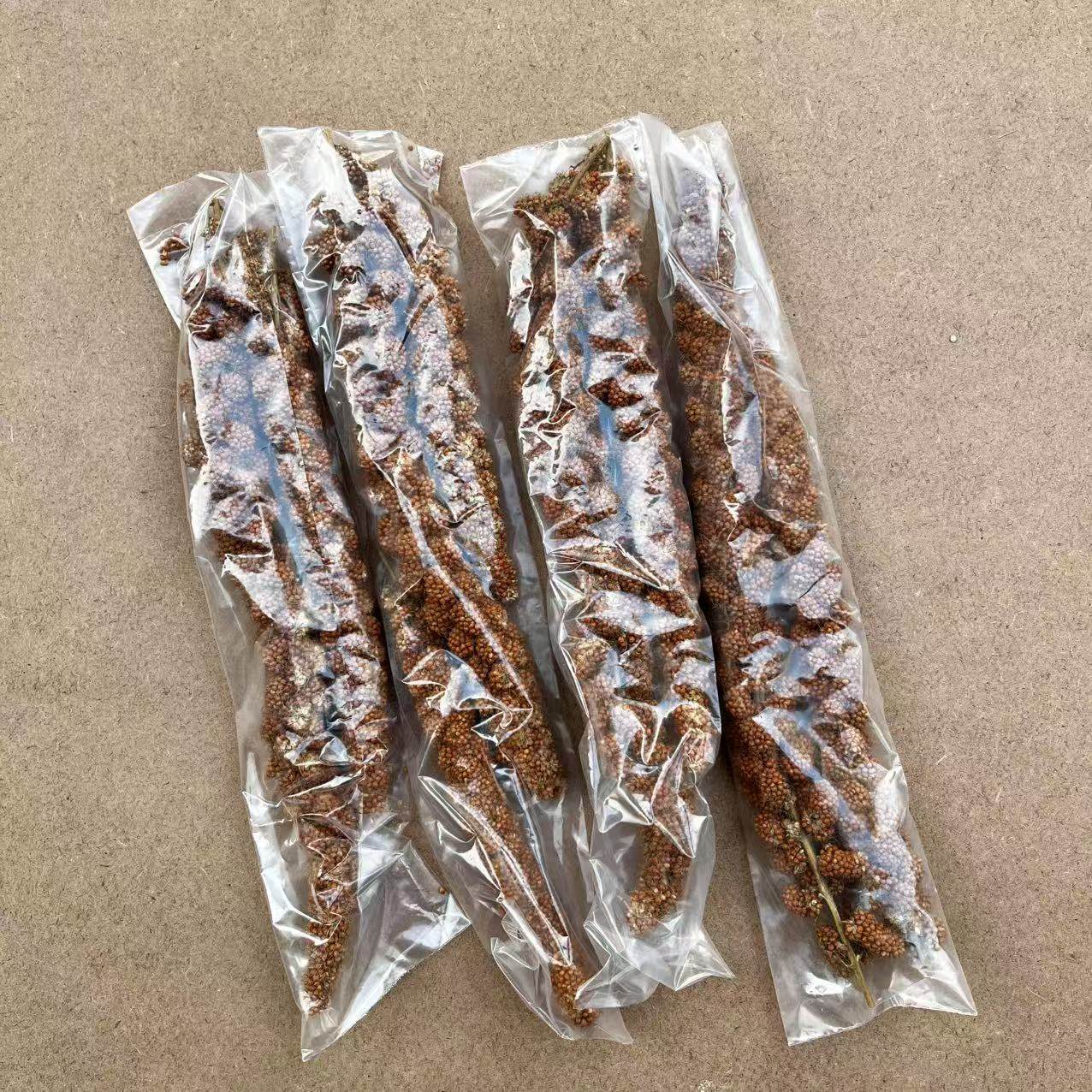 黄谷穗 红谷穗 稻穗 天然穗子 鸟零食  仓鼠零食 逗鸟 小包装,淘宝优惠券,粉丝福利购,淘宝优惠卷