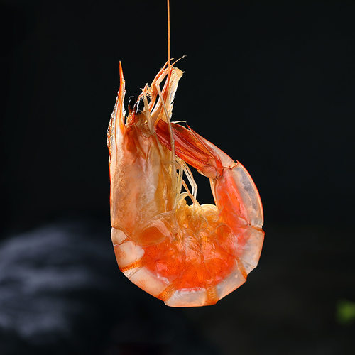 渔食客 即食烤虾干250g活虾炭烤对虾干无盐海鲜干货干虾休闲零食 - 图0