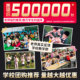 奇美竖笛德式G调高音6孔8孔小学生专用八孔初学入门课堂笛子乐器