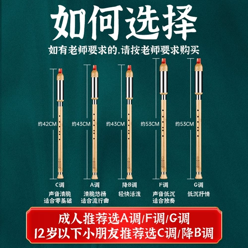 Музыкальные инструменты для школьников, подходит для начинающих