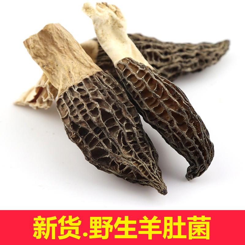 【赠送运费险】羊肚菌干货50g*1农自采食野生羊肚蘑菇菇菌云南