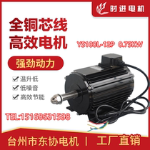 Special motor YS100L-12P electric motor GRP horn blower when ASEAN motor YS100L-12P 0 75KW