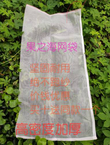 尼龙网袋加密90目透光透气火龙果向日葵丝瓜木瓜果蔬套袋防虫防鸟 - 图2