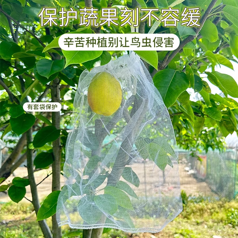 水果套袋防鸟防虫专用网袋葡萄无花果瓜果枇杷草莓杨桃子保护袋子 - 图2