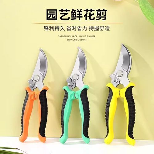 果树修枝剪修枝剪刀剪树枝修剪树树剪子园林园艺剪刀花艺专用剪刀 - 图0