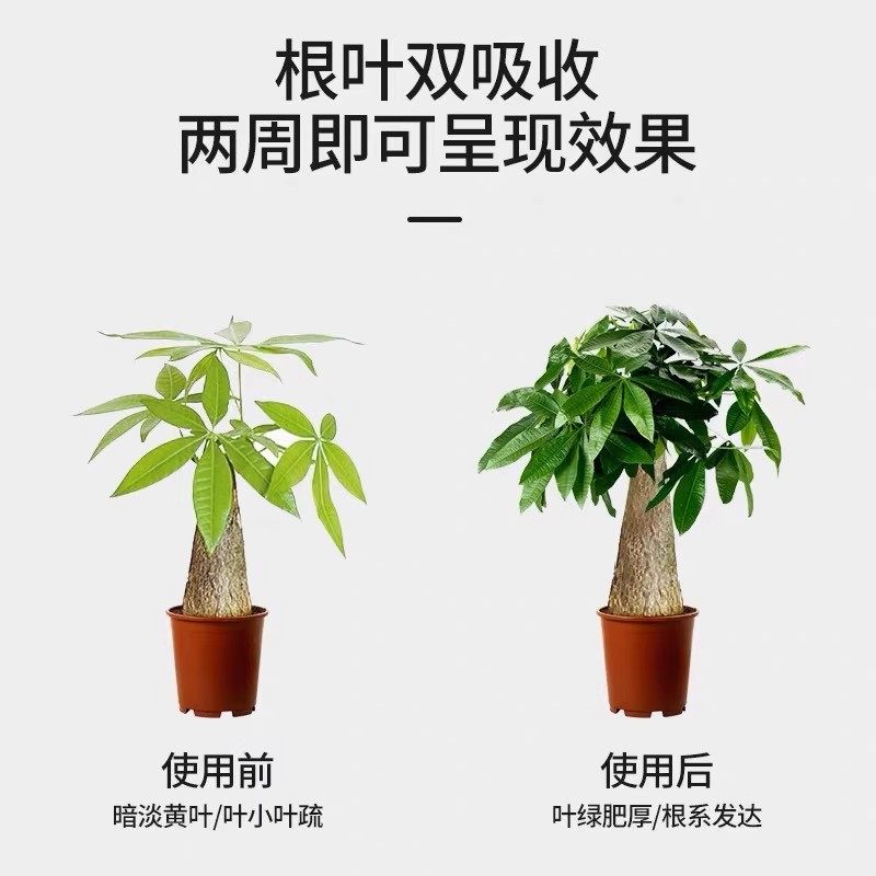 植物营养液通用型家用养花卉绿萝水培绿植多肉盆栽发财树液体肥料,淘宝优惠券,粉丝福利购,淘宝优惠卷