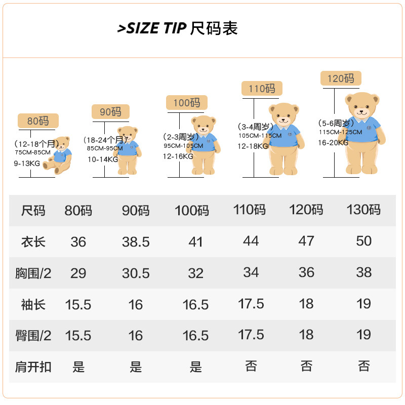 精典泰迪短袖t恤2020夏季打底衫 classicteddy英顺T恤