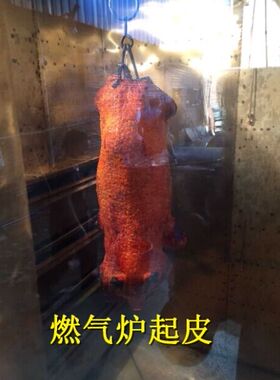 煤气烧猪炉 烤羊炉  烤鸭炉 烤鸡炉 叉烧炉 鹤山市凯耐机械厂
