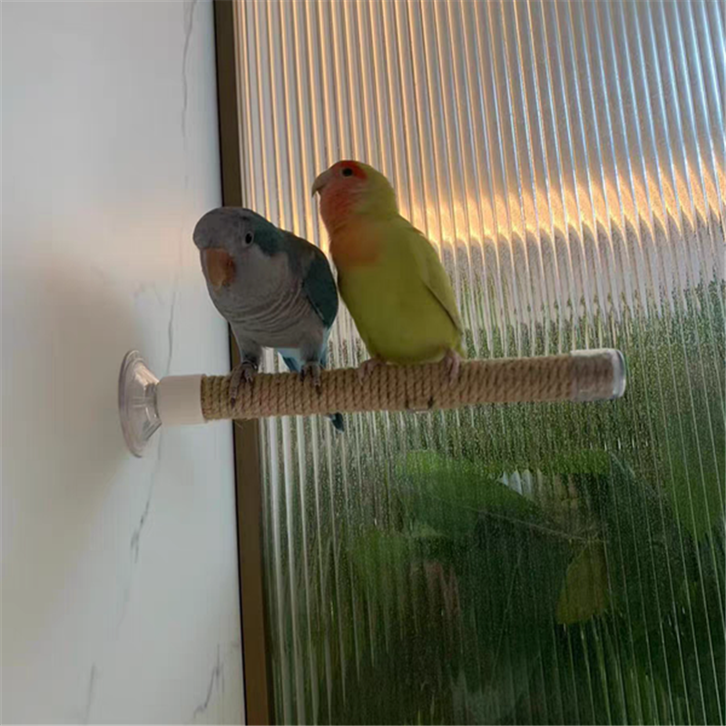 鹦鹉站架多用途麻绳吸盘玻璃站杠棍架子玩具笼子玄凤虎皮鸟站杆,淘宝优惠券,粉丝福利购,淘宝优惠卷