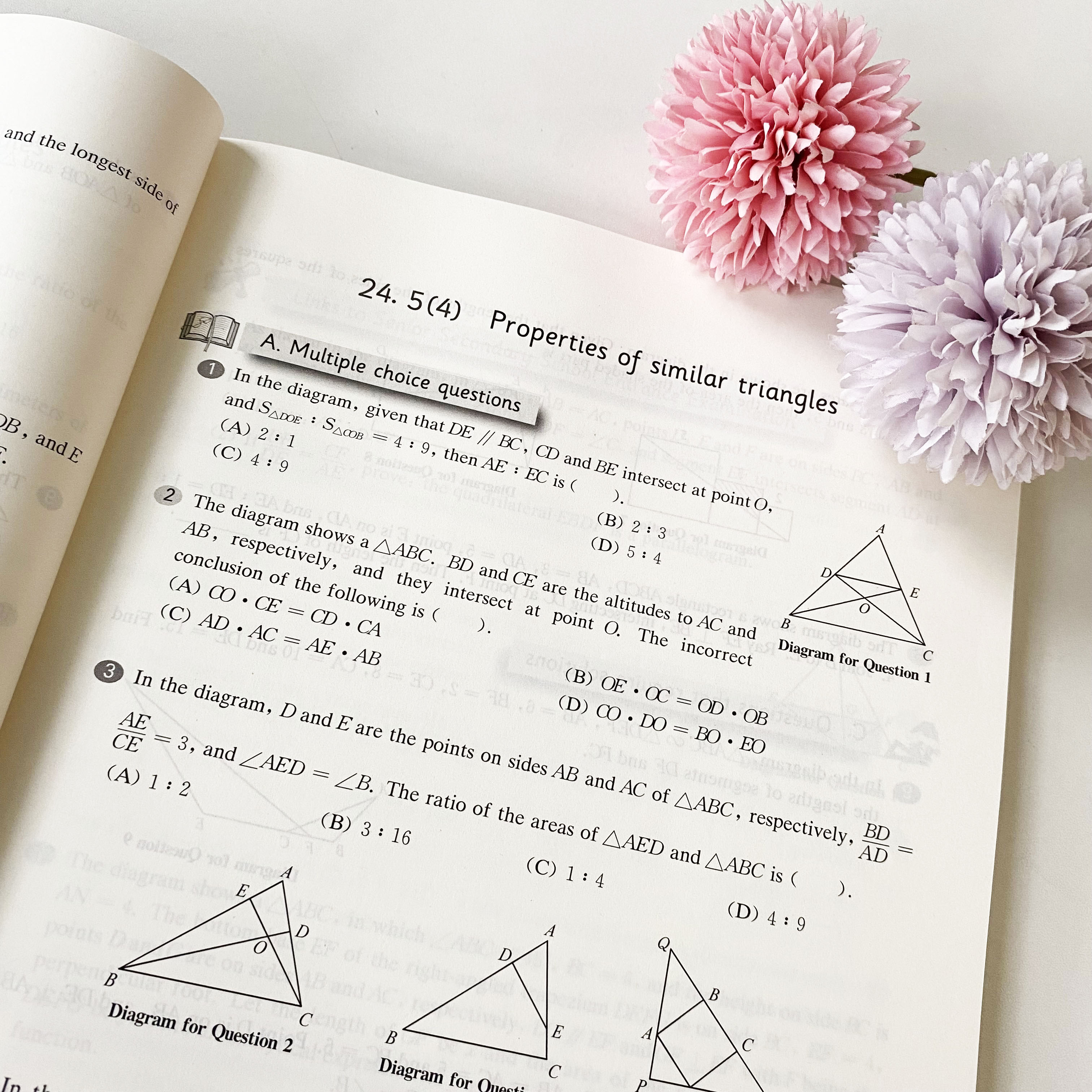 2021秋一课一练 上海英文版数学 九年级 Shanghai Maths One Lesson One Exercise Grade9 英文教辅 正版 华东师范大学出版社 - 图3