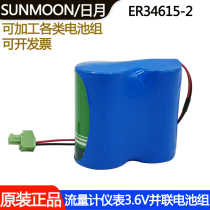 Vastness day ER34615 -2 meters meter instrument instrument parallel 3 6v connected 7 2v battery pack