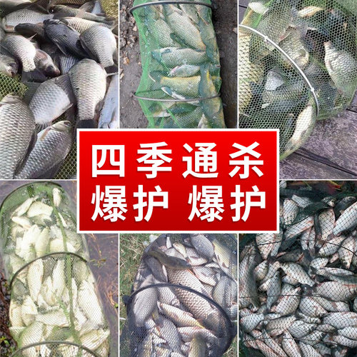 威拓森 老三样饵料野钓野战蓝鲫钓鱼饵料鲤鲫鱼九一八918通杀专用 - 图2