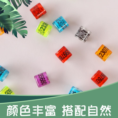 2026年信鸽足环鸽子脚环火车头统一环识别环脚环鸽子信鸽用品用具 - 图2