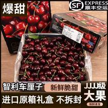 Spot (Shunfeng air transport) Chilean import car Centile Super Cherry JJJ Grade Crisp Sweet Fresh Fruit Gift Box