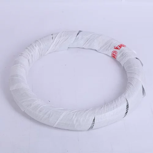 Горячая оцинкованная железная проволочная стальная ржаватяная ржавота -рискованная покрытая полоса