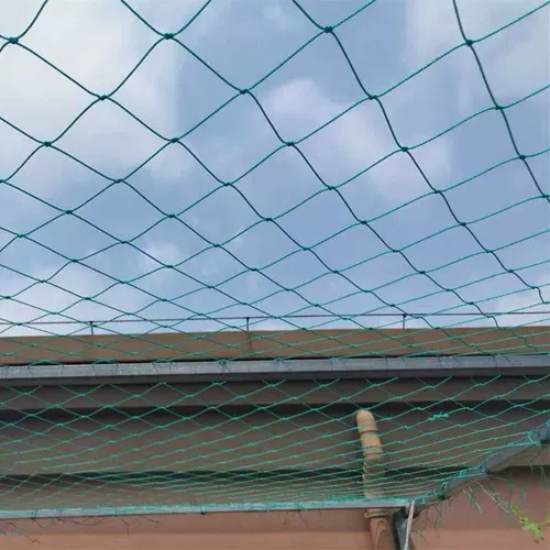 Растение лазания в лозы, овощные сады сад огурец, рамка ротана, скучная фруктовая стена, балкона для лазания с сетью, сеть сетки Loofah Grid