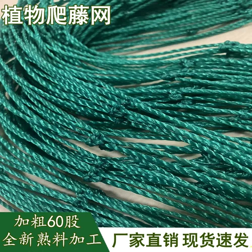 Растение лазания в лозы, овощные сады сад огурец, рамка ротана, скучная фруктовая стена, балкона для лазания с сетью, сеть сетки Loofah Grid