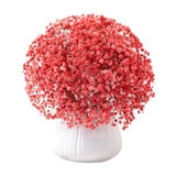 Полный тиантиан сухой цветочный зверь истинный цветочный гостиная, домашнее украшение, мигающие цветы Юньнань натуральные свежие свежие свежие букет