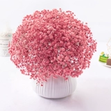 Полный тиантиан сухой цветочный зверь истинный цветочный гостиная, домашнее украшение, мигающие цветы Юньнань натуральные свежие свежие свежие букет