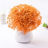 Полный тиантиан сухой цветочный зверь истинный цветочный гостиная, домашнее украшение, мигающие цветы Юньнань натуральные свежие свежие свежие букет