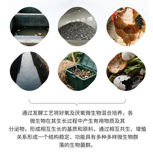 有机肥发酵剂化粪池除臭剂羊粪沼气发酵生物有机肥厨余堆肥垃圾 - 图2