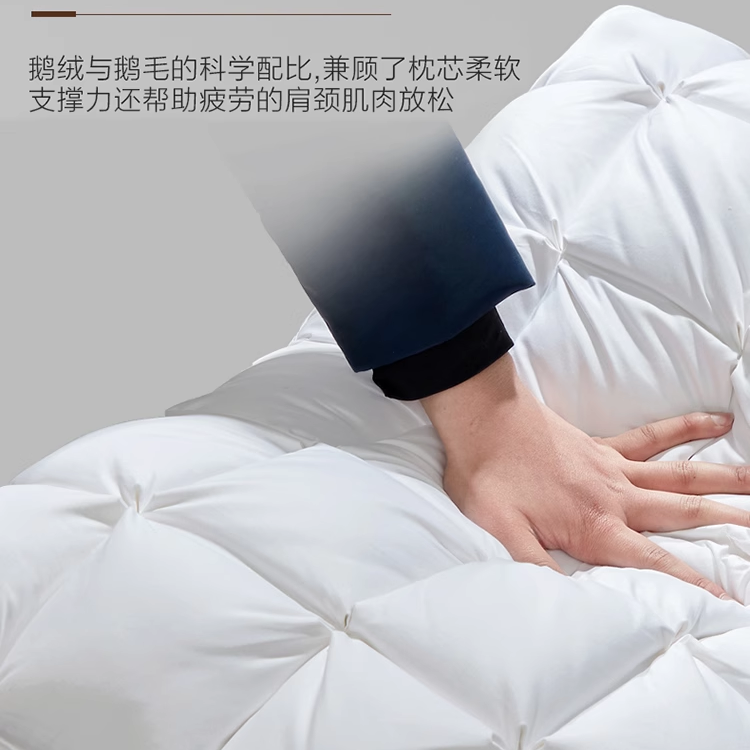 洲际五星级酒店专用95%白鹅绒枕头A类100%羽绒枕芯护颈家用一对装,淘宝优惠券,粉丝福利购,淘宝优惠卷