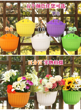 五个装绿萝专用花盆吊篮盆半圆形壁挂花盆树脂花盆塑料花盆大号