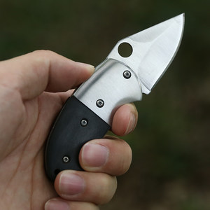 迷你小刀多功能随身小刀防身荒野求生装备户外折叠刀edc工具小刀