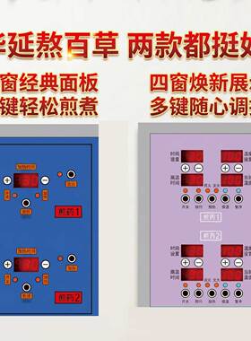 天津华延全自动双缸煎药机一体机