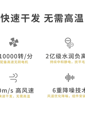 希尔顿皇冠假日铂尔曼Cetis美爵信达高速吹风机酒店同款HD-900