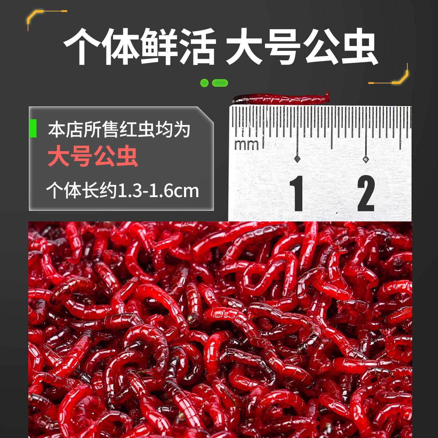 红虫新鲜活饵特大号公虫批鱼饵蚯蚓红蛆喂鱼台钓饵料挂钩钓鲫鱼,淘宝优惠券,粉丝福利购,淘宝优惠卷
