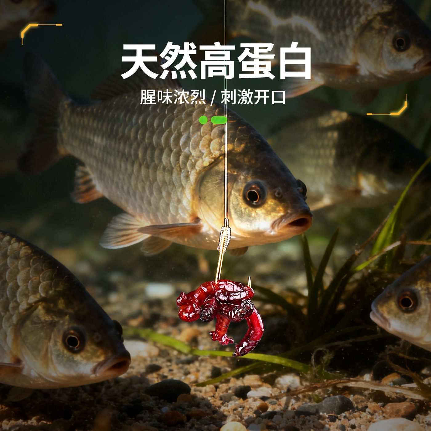 红虫新鲜活饵特大号公虫批鱼饵蚯蚓红蛆喂鱼台钓饵料挂钩钓鲫鱼,淘宝优惠券,粉丝福利购,淘宝优惠卷