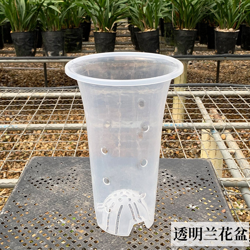 透明兰花盆塑料透气盆带侧孔兰花蝴蝶兰石斛专用盆园艺花盆