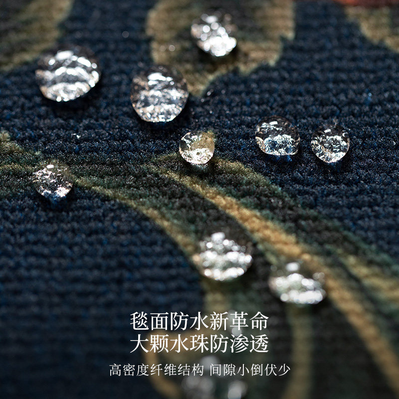 佩里轻奢高级感进门地毯美式复古入户门垫防水防滑玄关门口脚垫,淘宝优惠券,粉丝福利购,淘宝优惠卷