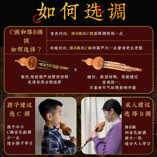 Einführung in den Quexin Hulusi Musical Instruments Flagship Store für Anfänger