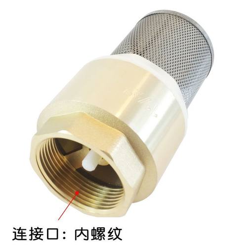 井底阀水泵止回阀不锈钢过滤网水管止逆阀带弹簧塑料芯4分6分1寸 - 图1